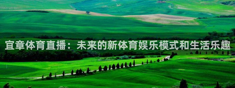 龙门直播免费体育直播