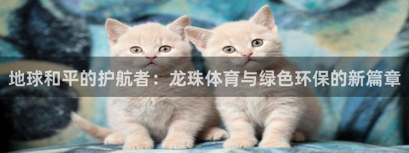 中超龙门直播